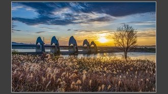 2023-11-11