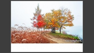 2023-11-11
