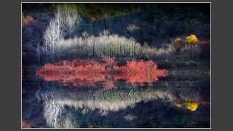 2023-11-22