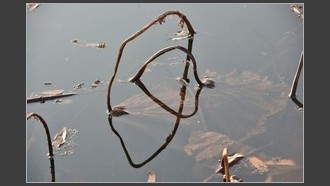 2023-12-03
