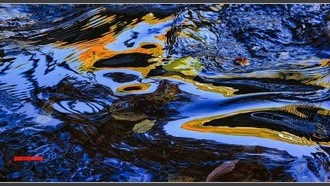 2023-12-05