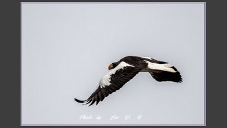 2023-12-31