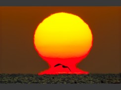 2024-01-13