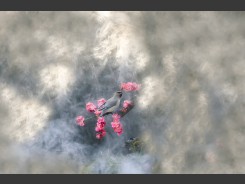 2024-02-01
