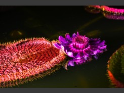 2024-08-24