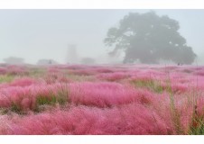 2024-10-08