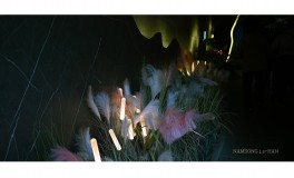 2024-11-20
