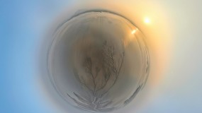 2024-12-24