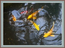 2025-02-04