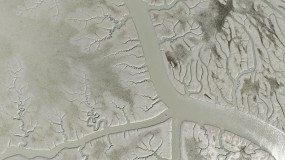 2025-02-05