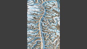 2025-02-11