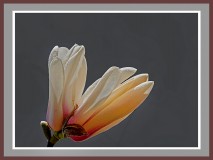 2025-04-02