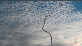 2025-05-10