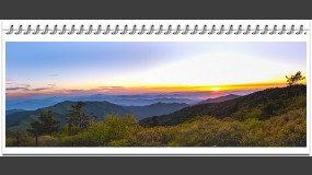 2025-06-07