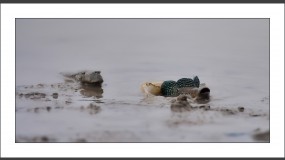 2025-07-03