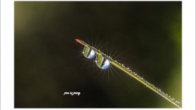 2025-07-10