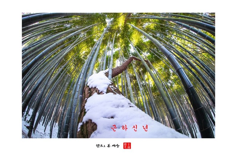 근하신년