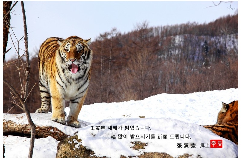 근하신년