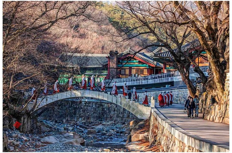 스님의 발자취