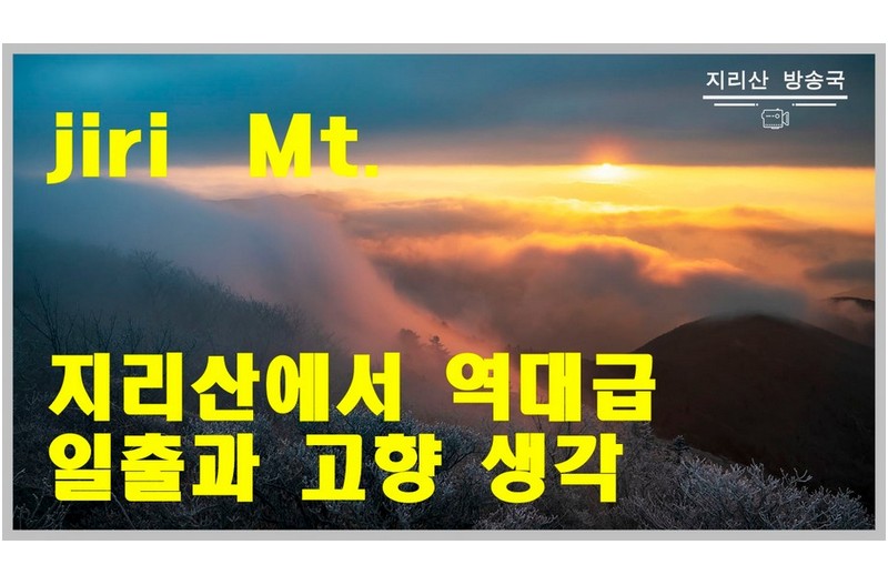 도사~