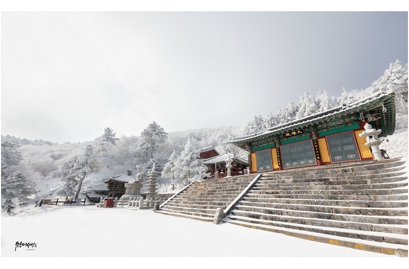 태백산 망경사