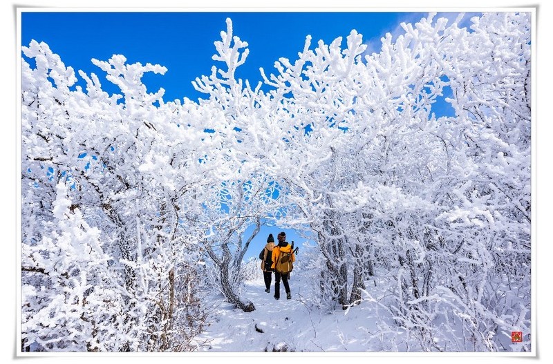 겨울산