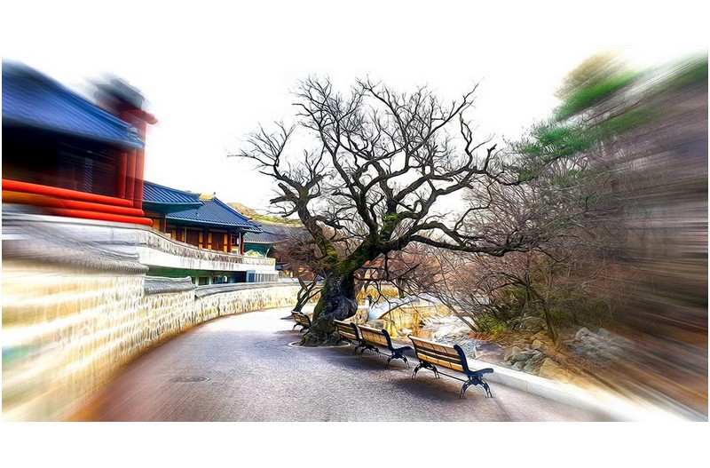 통도사 소경