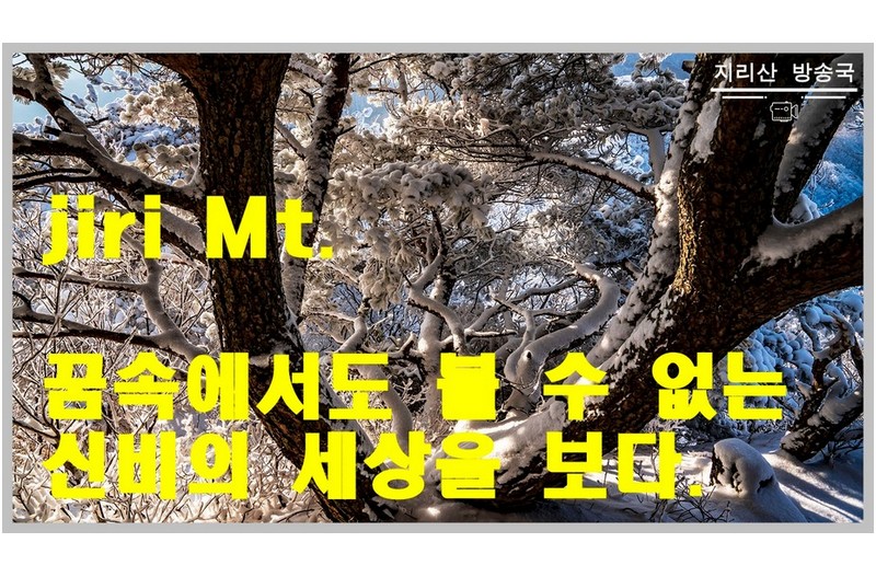 여명~