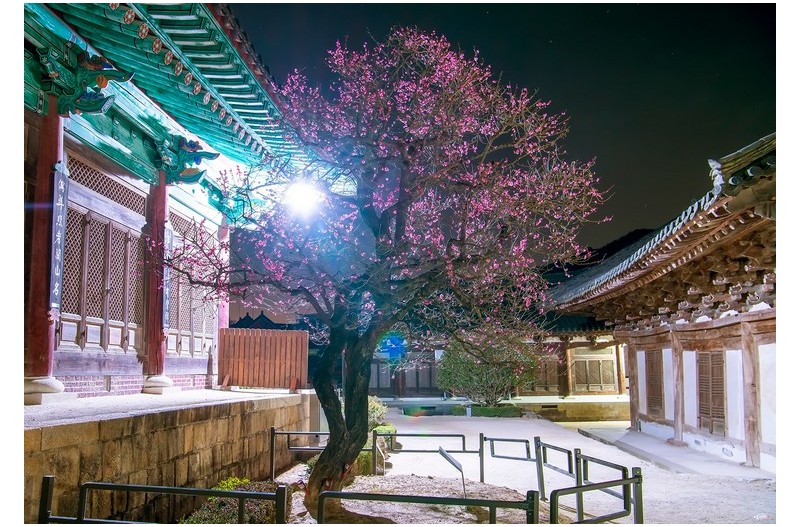 통도사