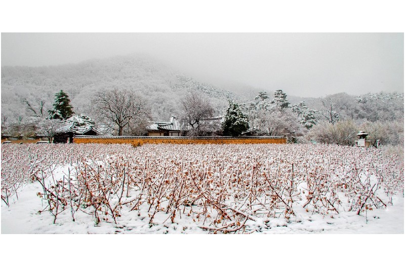 설경 - 雪景