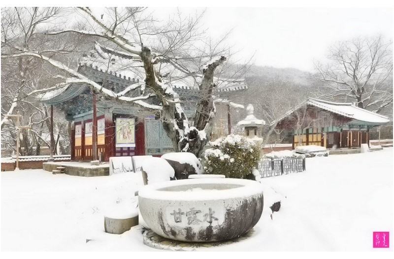 금산사