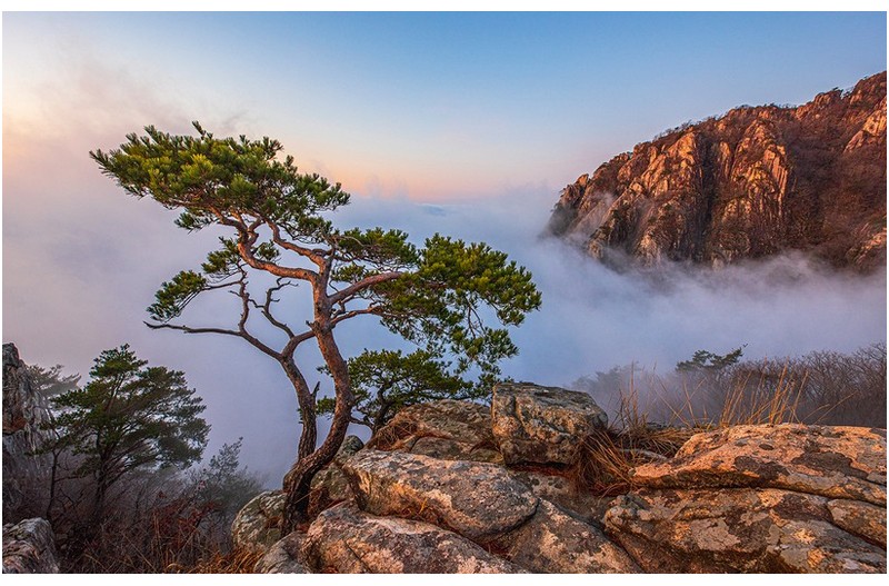 대둔산