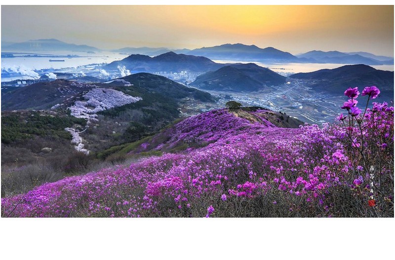영취산