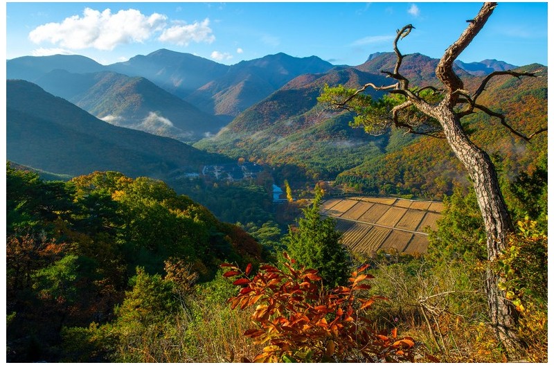 산사의 가을