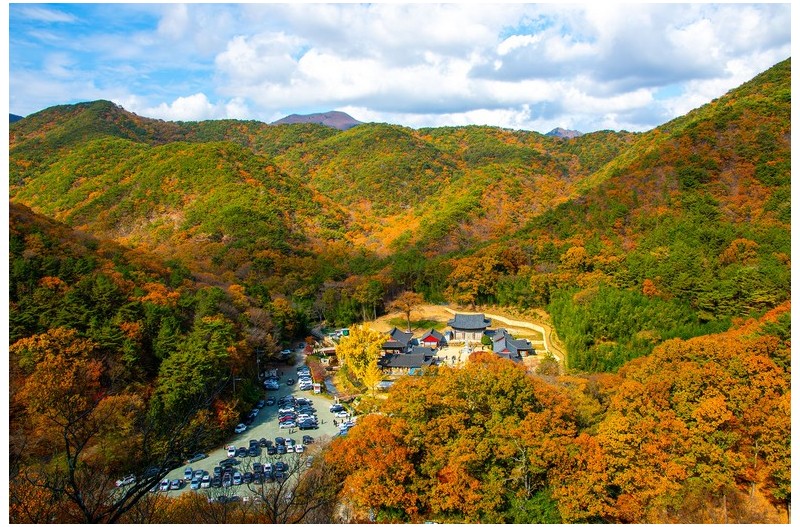 산사의 가을