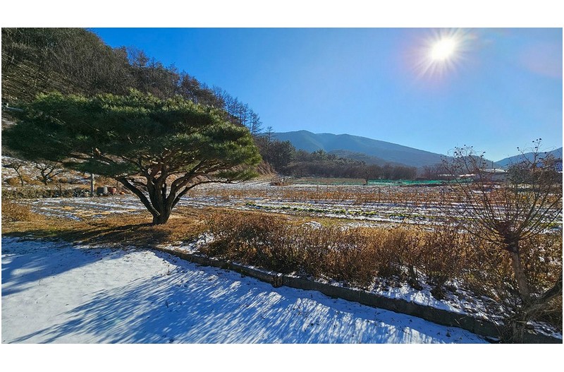 농장