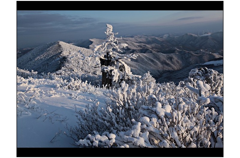 함백산 설경