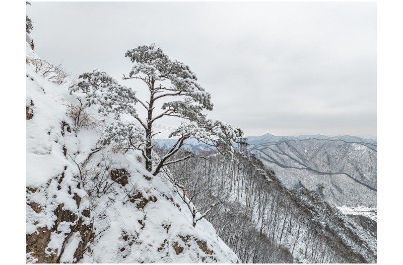 대둔산설송