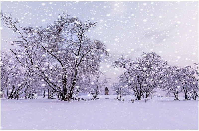 Tombe La Neige