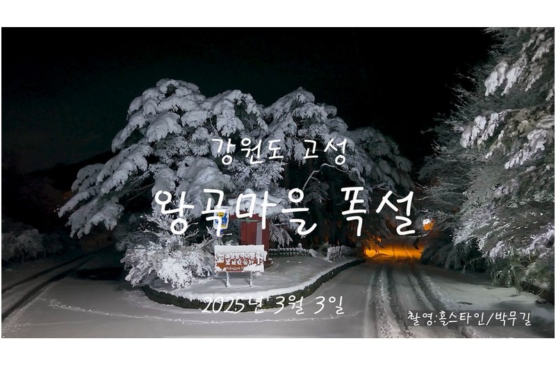 왕곡마을 폭설