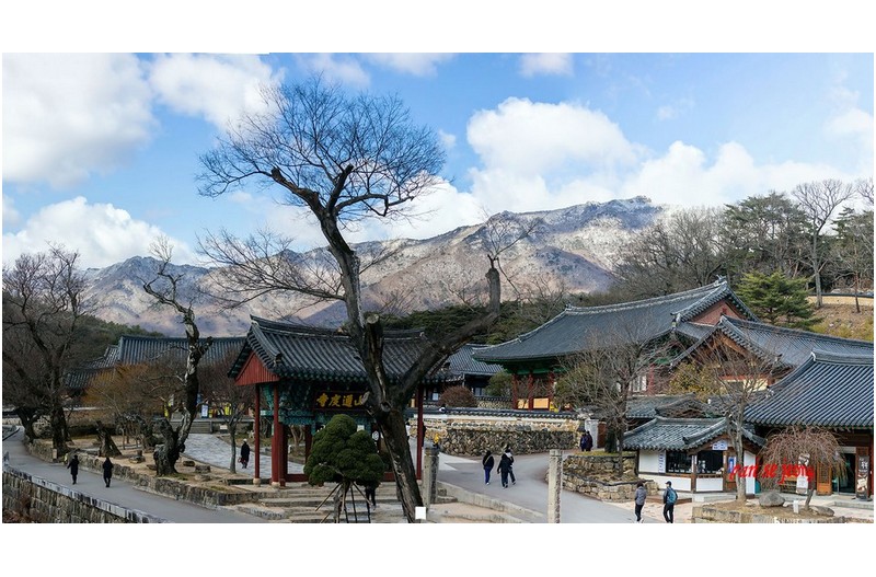 가지산설경