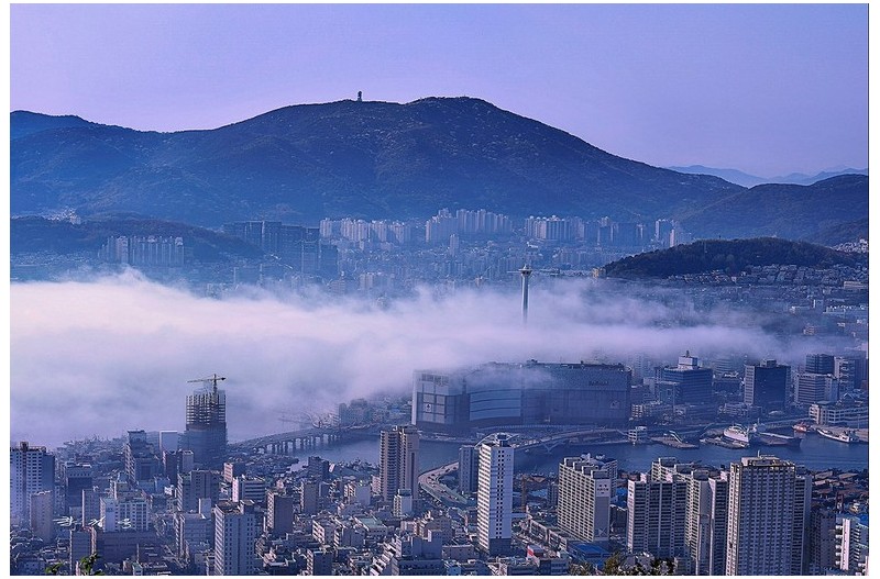 부산해 무