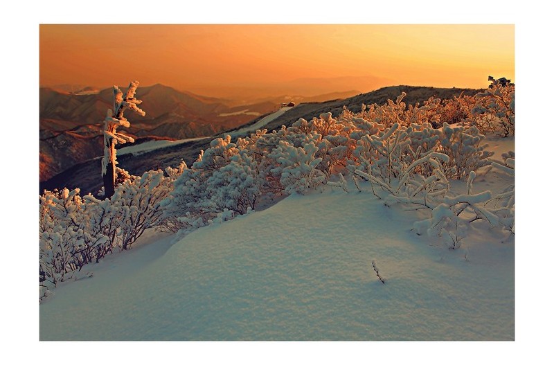 함백산 설경