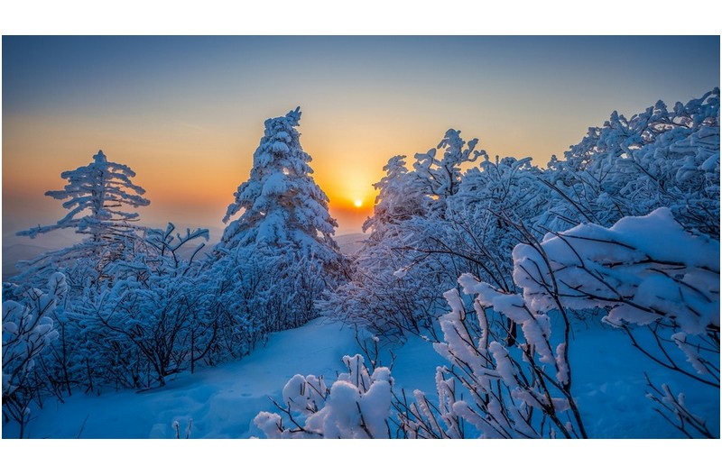 춘설의 태백산