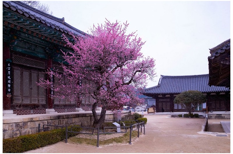 통도사
