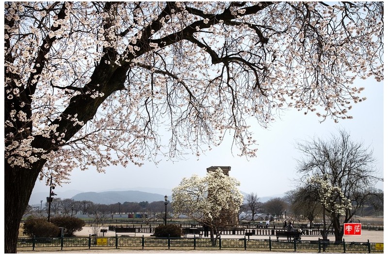 경주