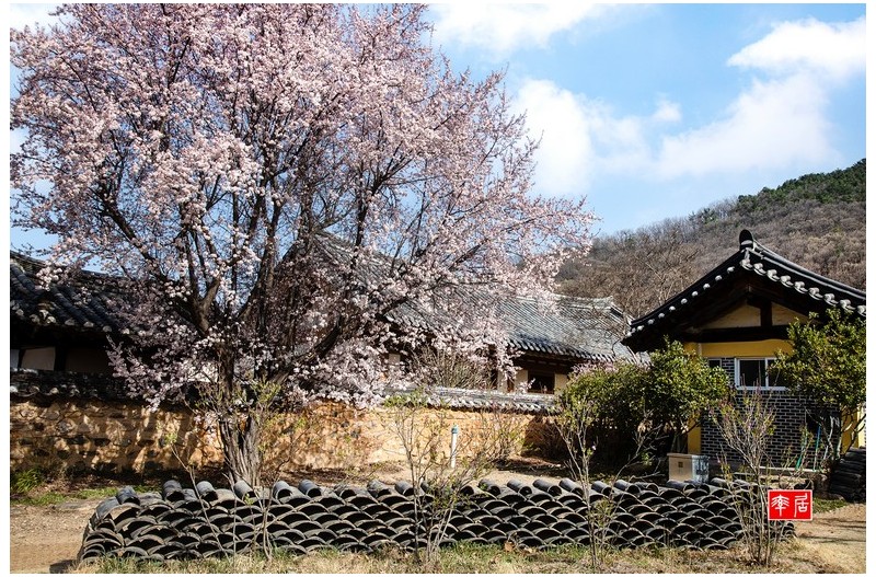 세거지의 봄
