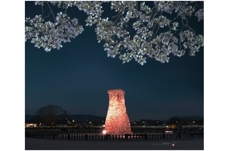 봄날의 첨성대