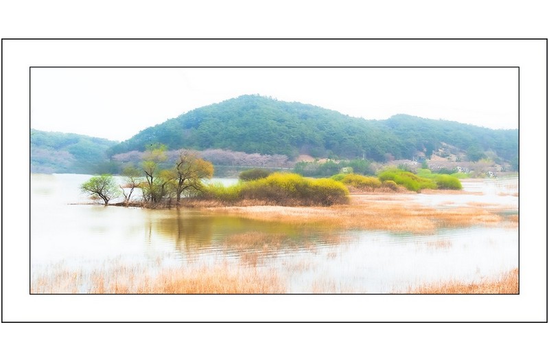 호수의 봄..