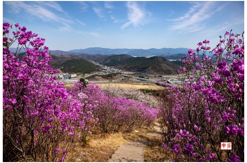 와룡산